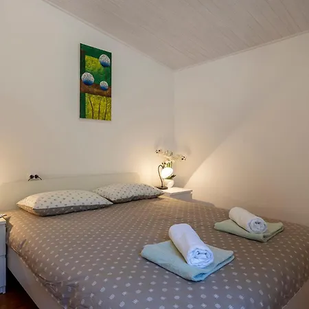 Elegant With Private Pool And Stunning Garden In The Picturesque Village Of Brhanici Svetvinčenat
