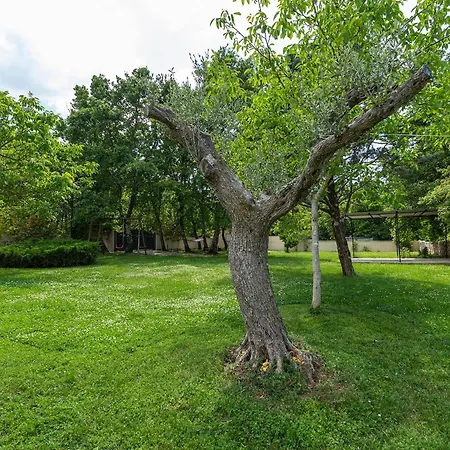 Elegant With Private Pool And Stunning Garden In The Picturesque Village Of Brhanici