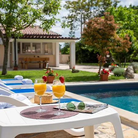 Elegant With Private Pool And Stunning Garden In The Picturesque Village Of Brhanici *