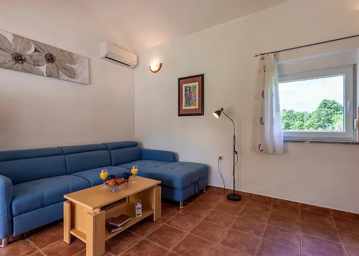 Elegant With Private Pool And Stunning Garden In The Picturesque Village Of Brhanici * Svetvincenat